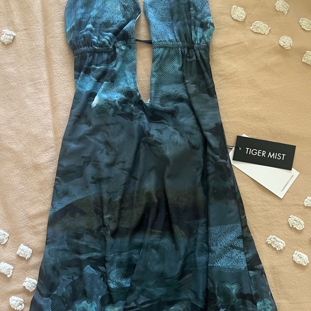 Tiger Mist Teal and Black Patterned Dress
